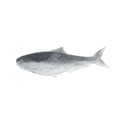 Glizzard 5" - Big Bag Outdoors